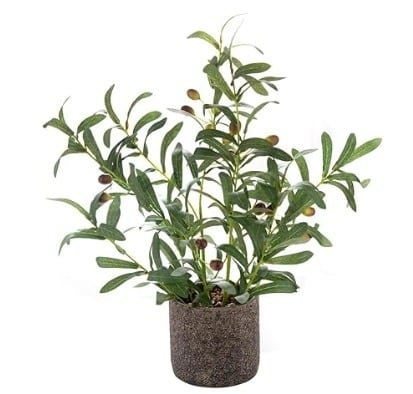 Low-Profile Faux Olive Planter Bush for Indoor Greens