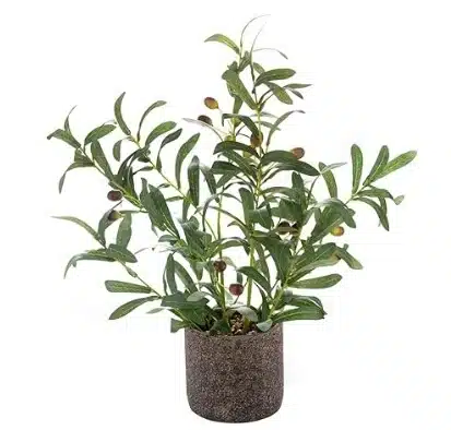 Low-Profile Faux Olive Planter Bush for Indoor Greens