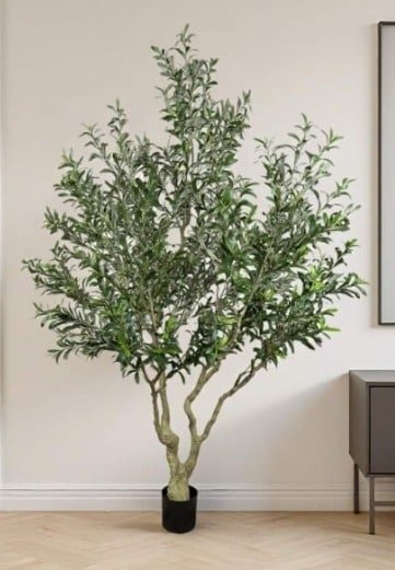 Grand 8ft+ Artificial Olive Tree for Indoor Lofts