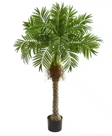 Mini Robellini Palm: Best Artificial Palm Trees for Indoor Spaces