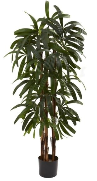 Rhapis Palm: Commercial Artificial Palm Trees