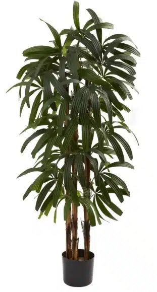 Rhapis Palm: Commercial Artificial Palm Trees