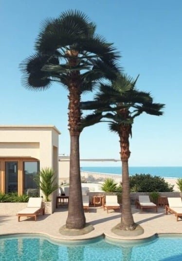Rustic Coconut Palm: Outdoor Artificial Palm Trees UV Protected