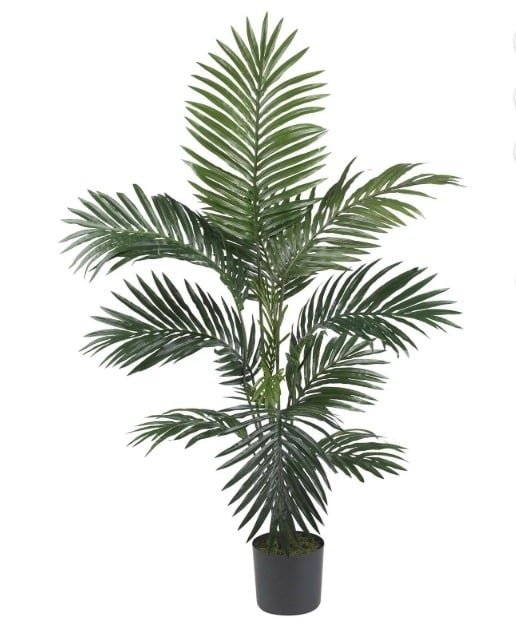 Kentia Palm: Top-Rated Fake Palm Trees Realism