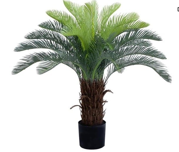 Sago Palm (Cycas): Best Artificial Palm Trees for Outdoor
