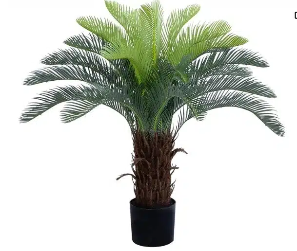 Sago Palm (Cycas): Best Artificial Palm Trees for Outdoor