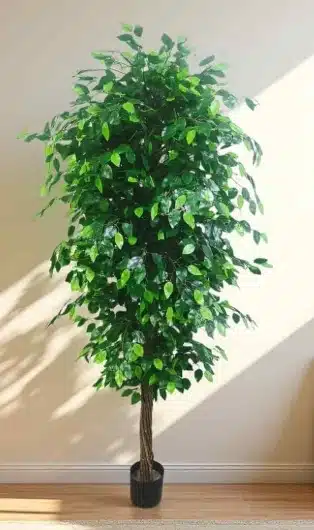 Ficus Benjamina: Best Artificial Ficus Tree for Lush Greenery