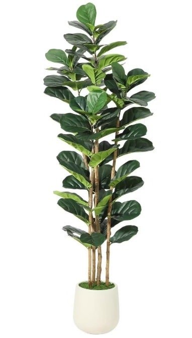 Multi-Trunk Ficus Lyrata: Premium Faux Ficus Tree for Large Spaces