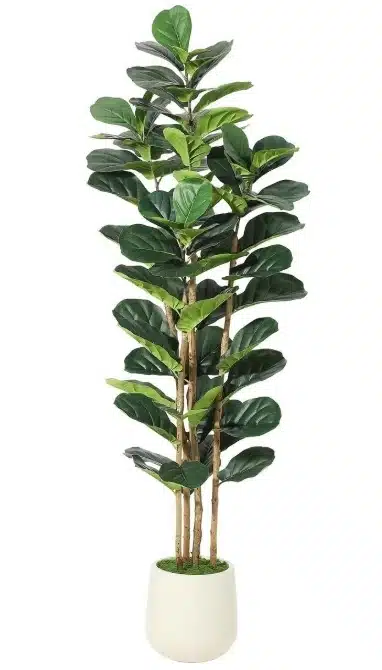 Multi-Trunk Ficus Lyrata: Premium Faux Ficus Tree for Large Spaces
