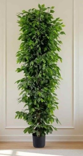Columnar Fiddle Leaf Fig: Best Fake Ficus Tree for Vertical Accents
