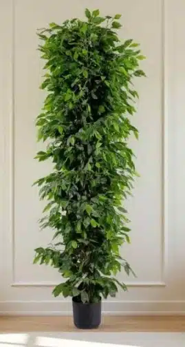 Columnar Fiddle Leaf Fig: Best Fake Ficus Tree for Vertical Accents