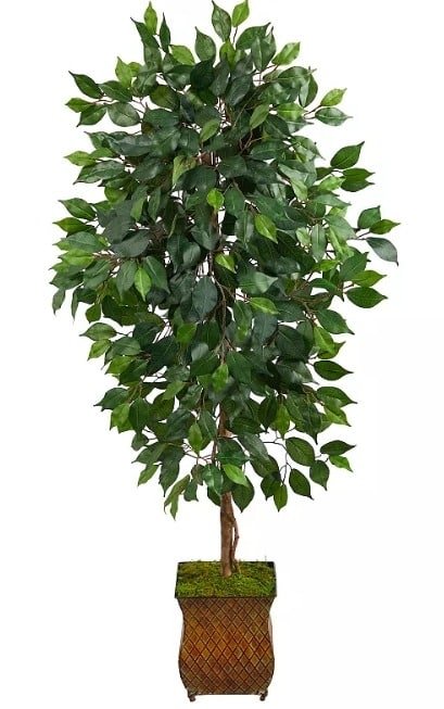 Ficus Alii: Best Artificial Ficus Tree for Narrow Hallways