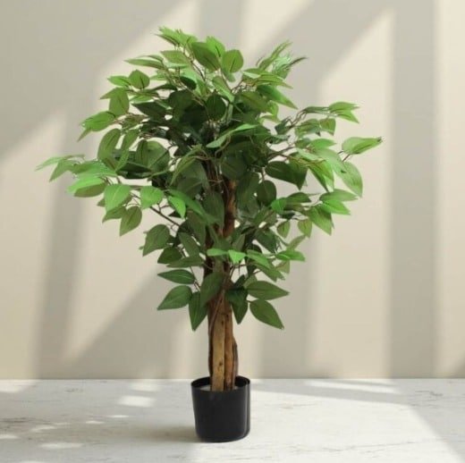 Mini Ficus: Best Faux Ficus Tree for Tabletop Zen