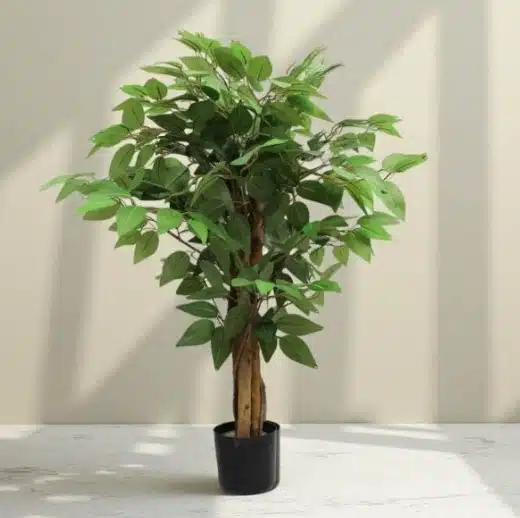 Mini Ficus: Best Faux Ficus Tree for Tabletop Zen