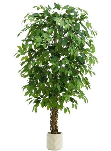 Braided-Trunk Ficus: Best Artificial Ficus Tree for Elegant Texture