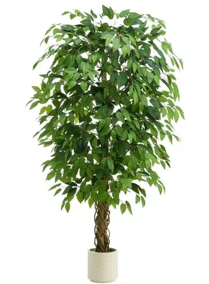 Braided-Trunk Ficus: Best Artificial Ficus Tree for Elegant Texture