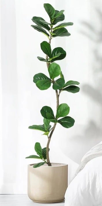 Best Artificial Fiddle Leaf Fig Tree for Outside Covered Patios