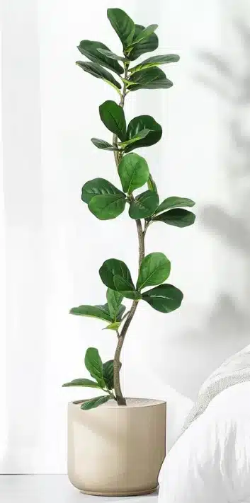 Best Artificial Fiddle Leaf Fig Tree for Outside Covered Patios
