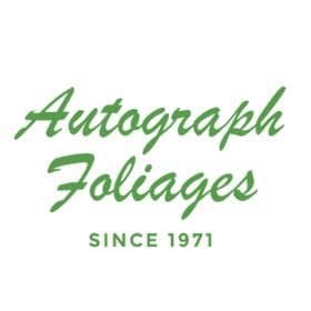 Autograph Foliages