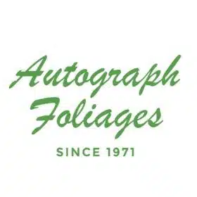Autograph Foliages