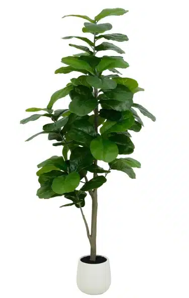 Best Artificial Fiddle Leaf Fig Tree for Outside and Tight Corners