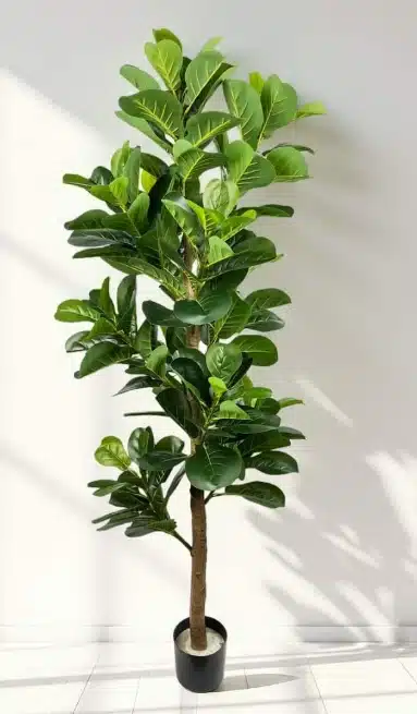 Best Artificial Fiddle Leaf Fig Tree for Home Entryways
