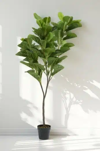 Best Artificial Fiddle Leaf Fig Tree for Living Room Styling