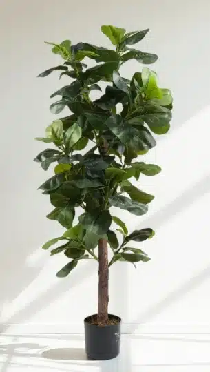 Best Tall Artificial Fiddle Leaf Fig Tree for High Ceilings