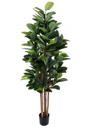 Artificial Rubber Plant
