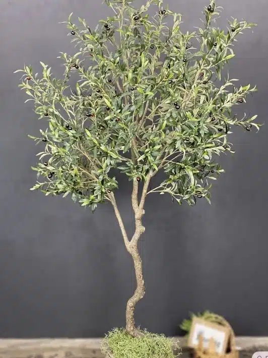 Multi-Stem Gnarled Fake Olive Tree for Rustic Interiors