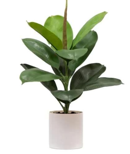 Best Artificial Fiddle Leaf Fig Tree for Home Offices & Small Spaces