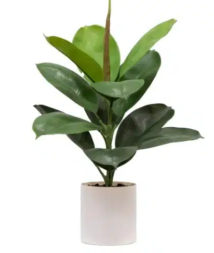 Best Artificial Fiddle Leaf Fig Tree for Home Offices & Small Spaces