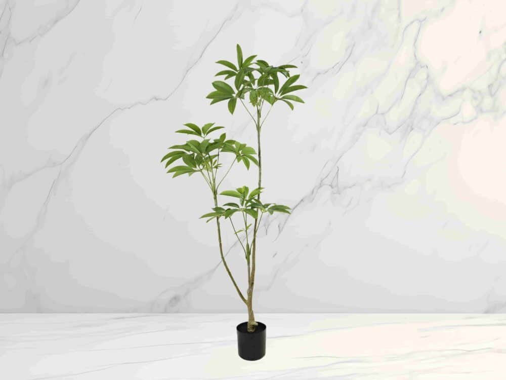 Artificial Money Tree Amazon