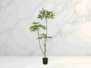 Artificial Money Tree Amazon