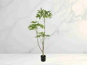 Artificial Money Tree Amazon