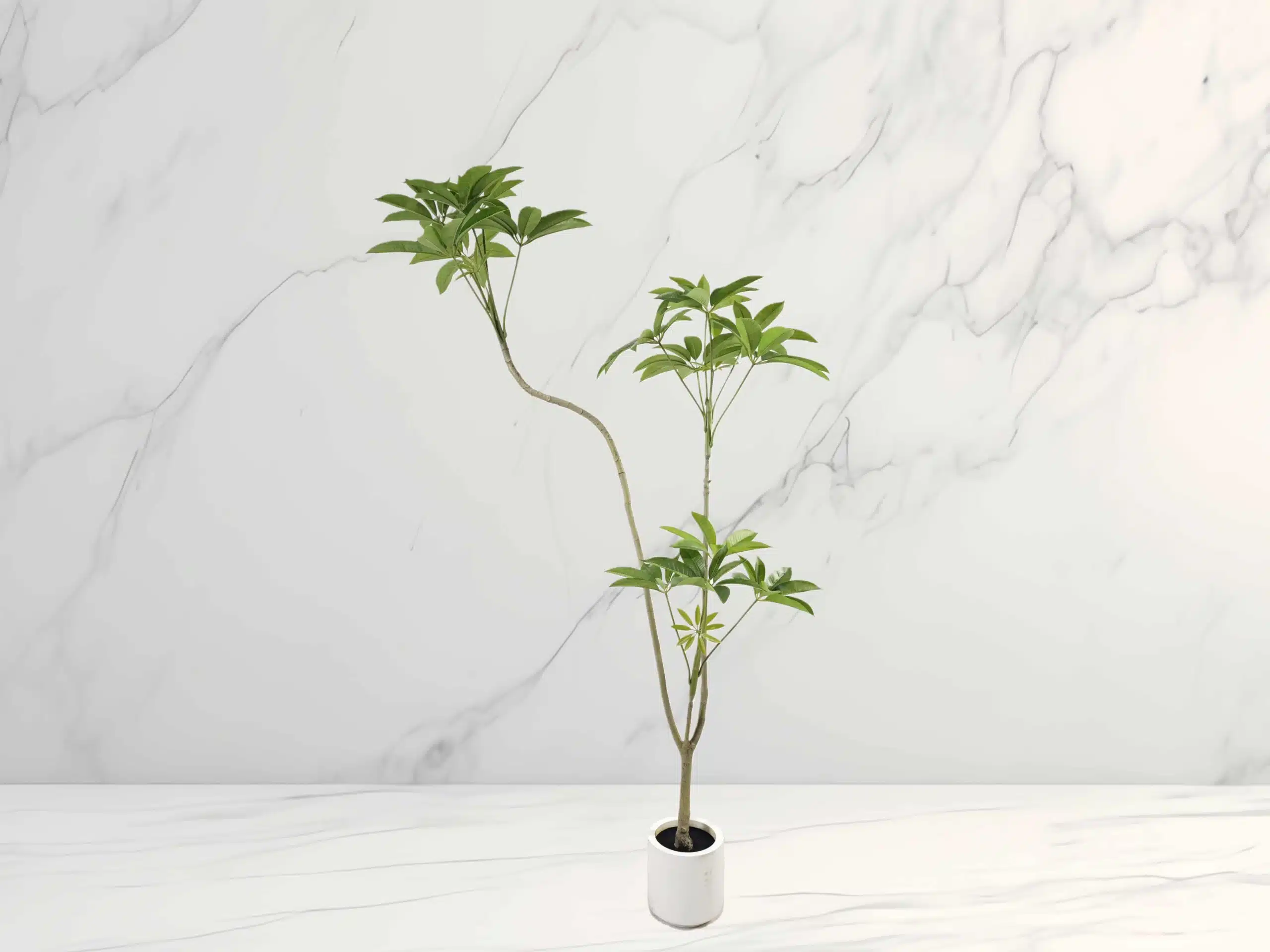 6ft Artificial Money Tree - Image 3