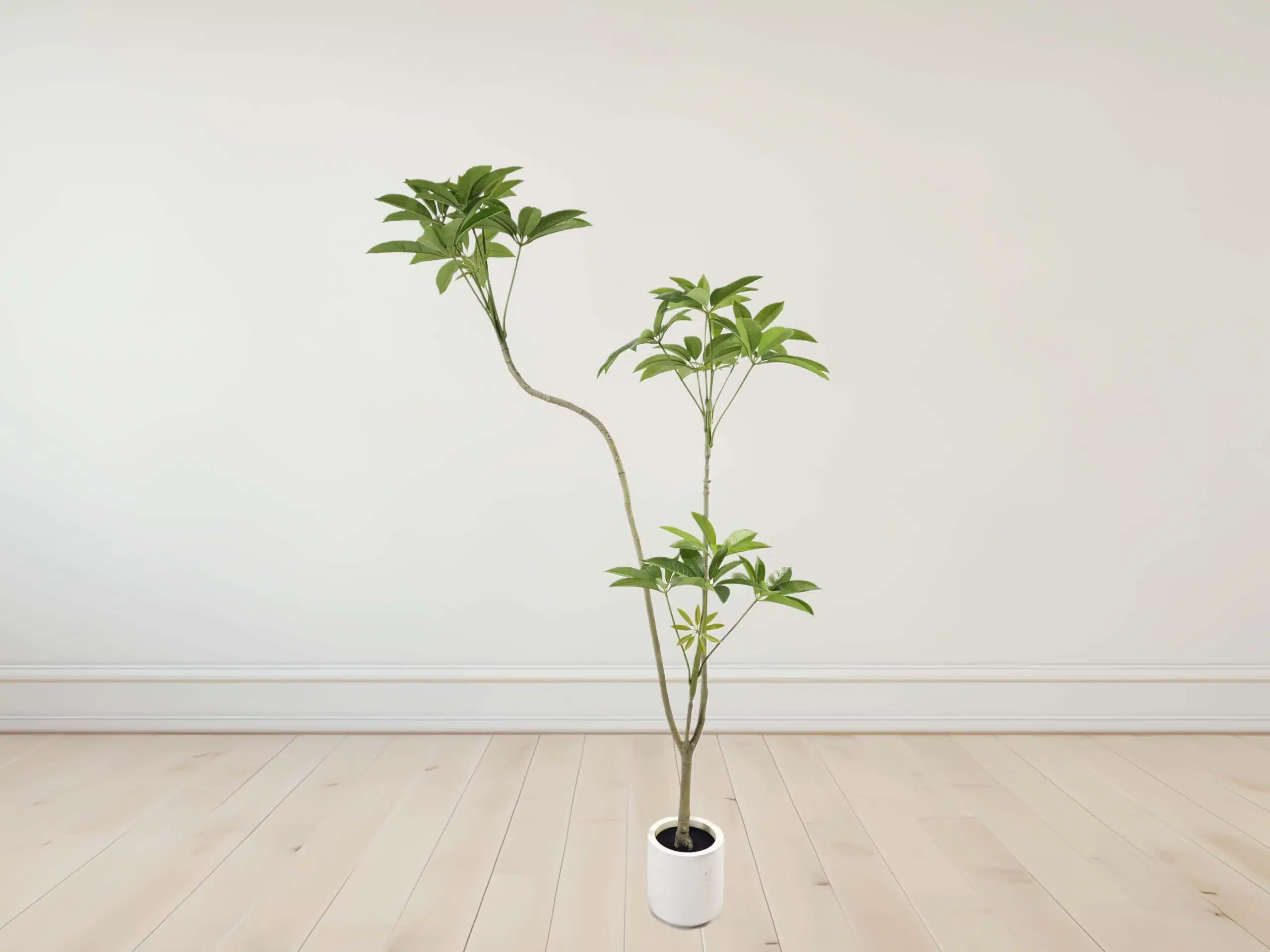 6ft Artificial Money Tree - Image 4