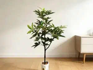 Adjustable Branches Artificial Money Tree