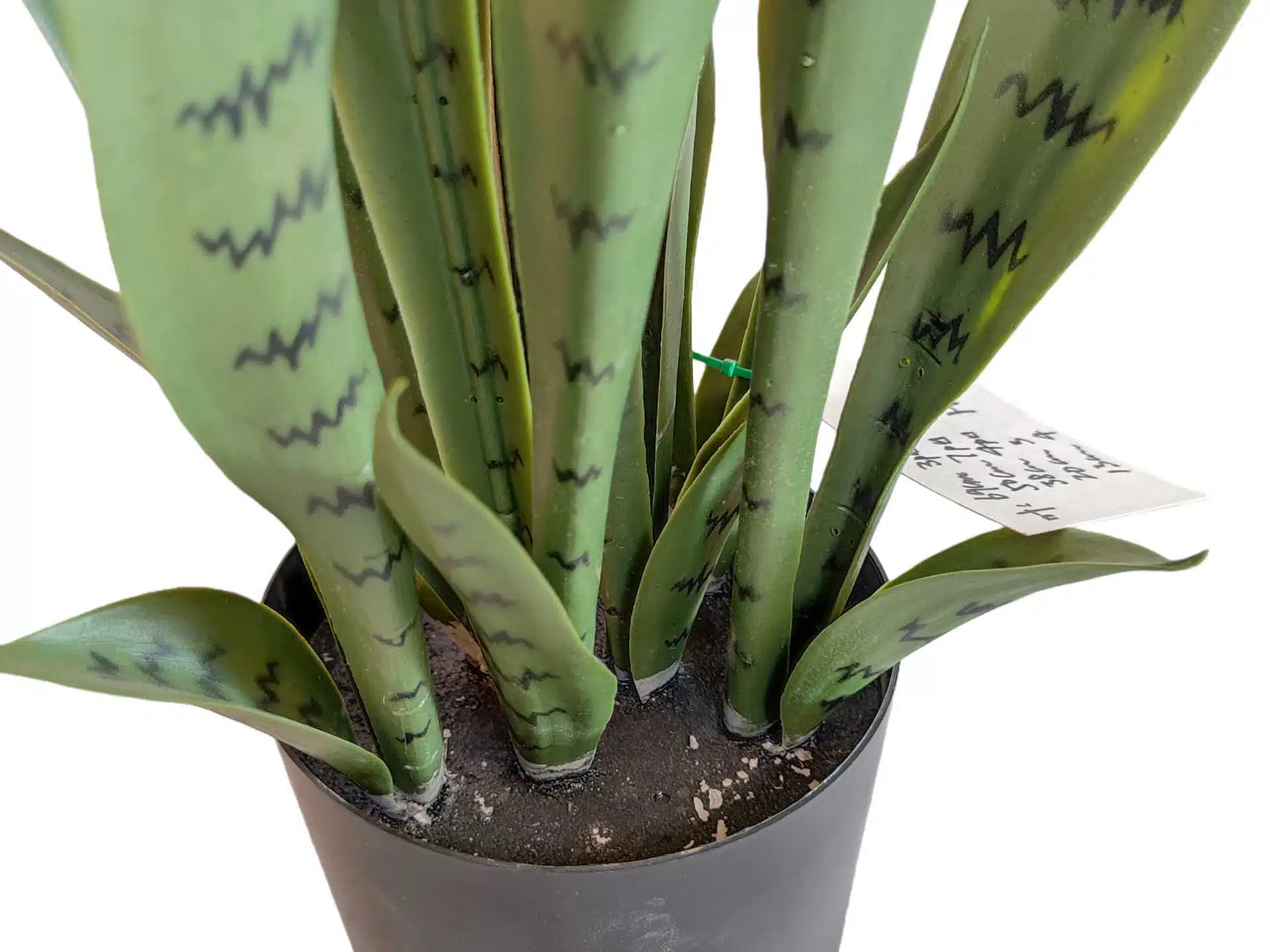 Artificial Snake Plant Stems - Image 5