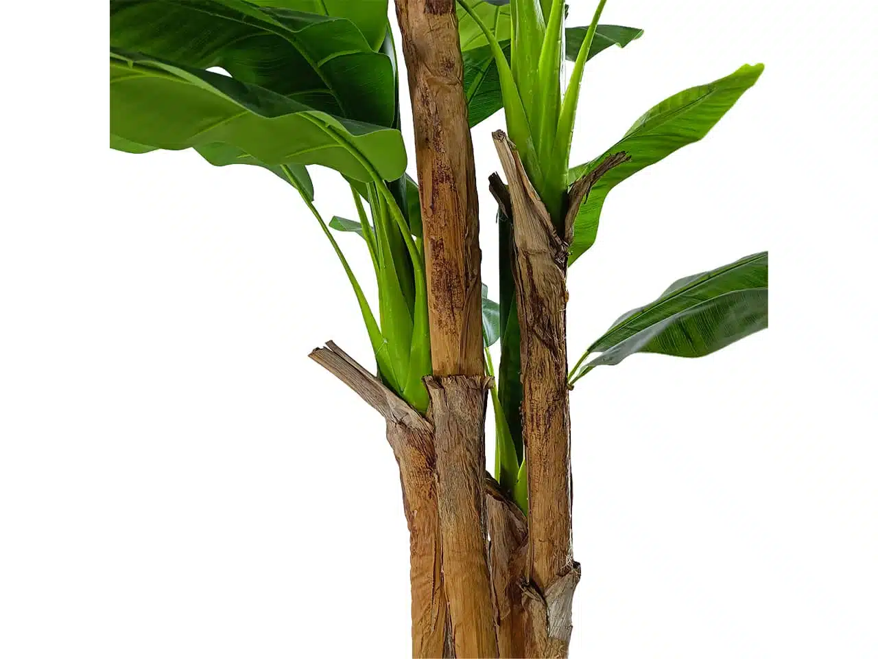 Artificial Banana Tree For Decoration - Image 2