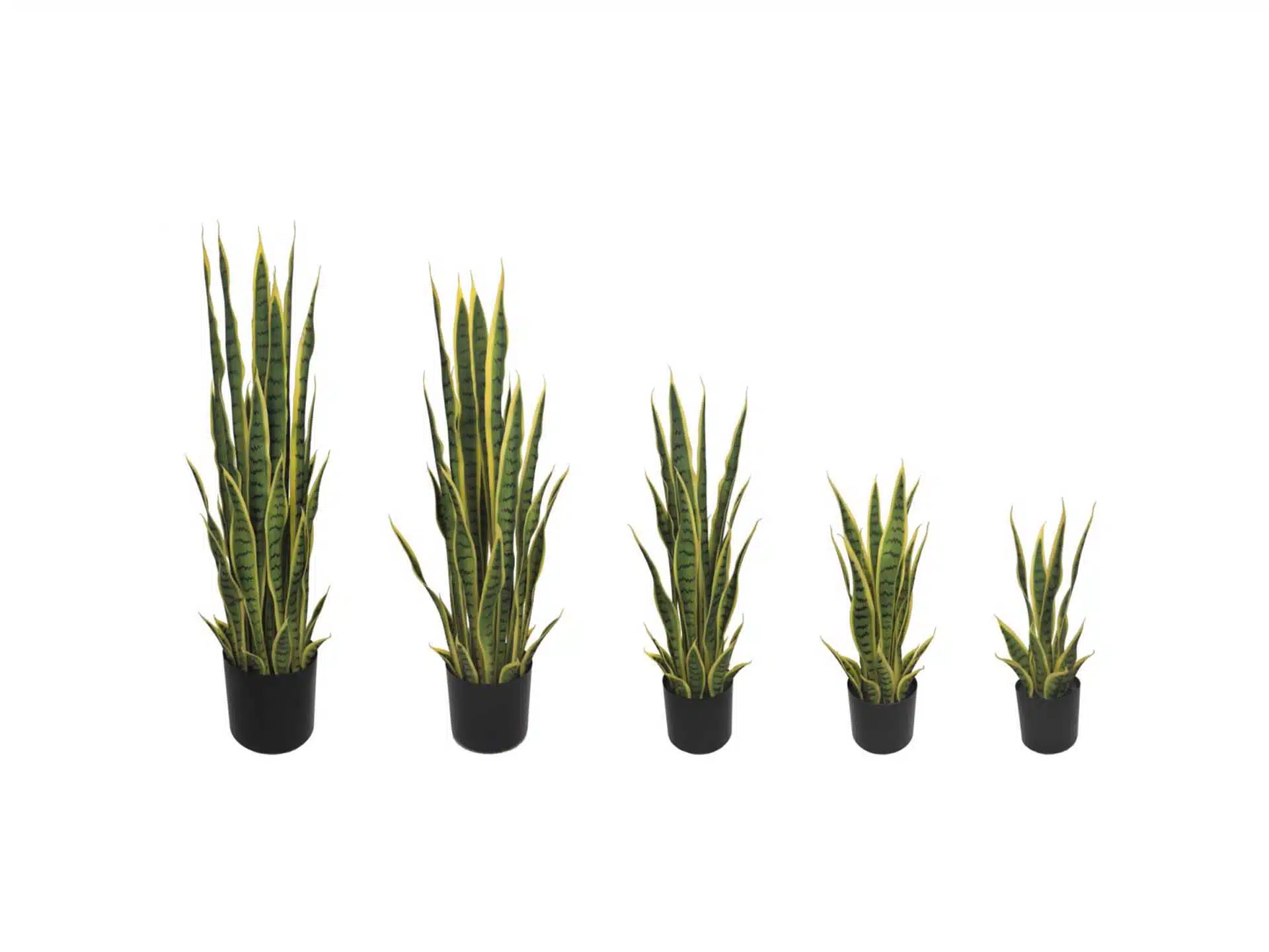 Snake Plant Artificial Light - Image 5