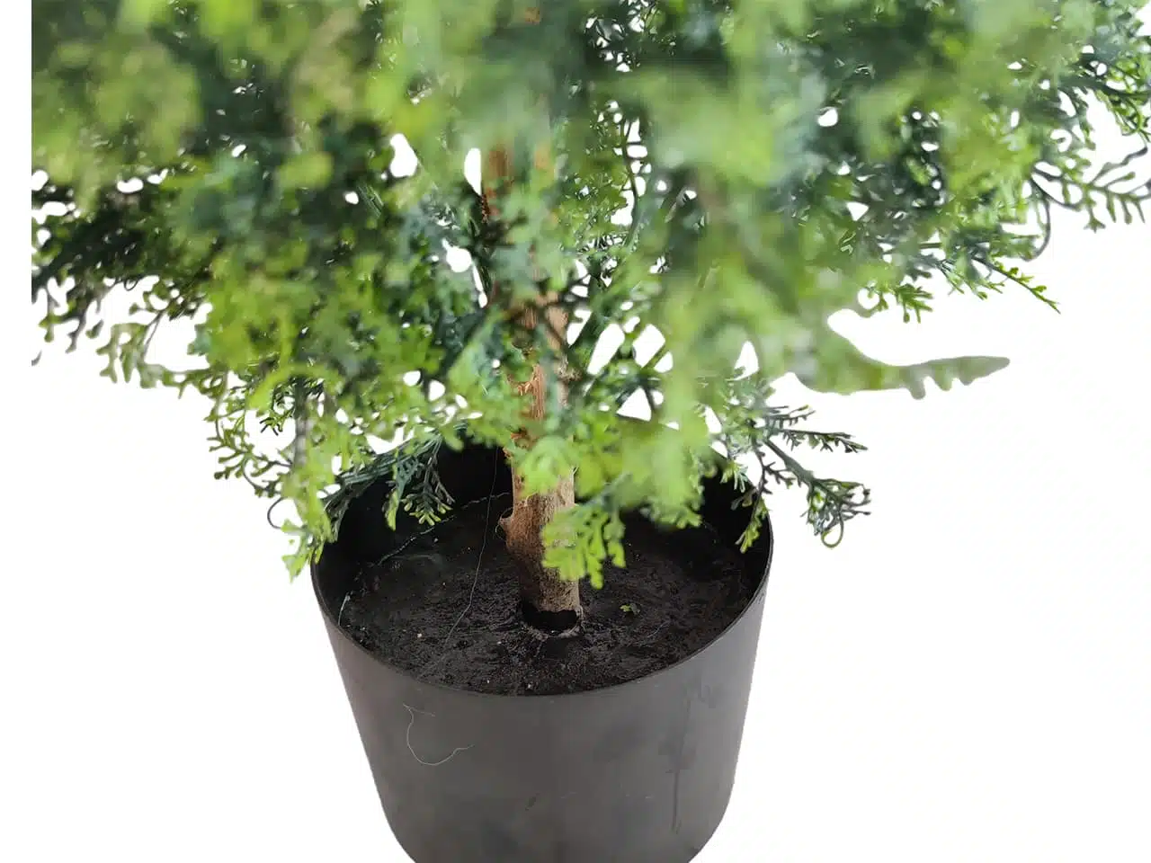 Artificial Cypress Tree Indoor - Image 3