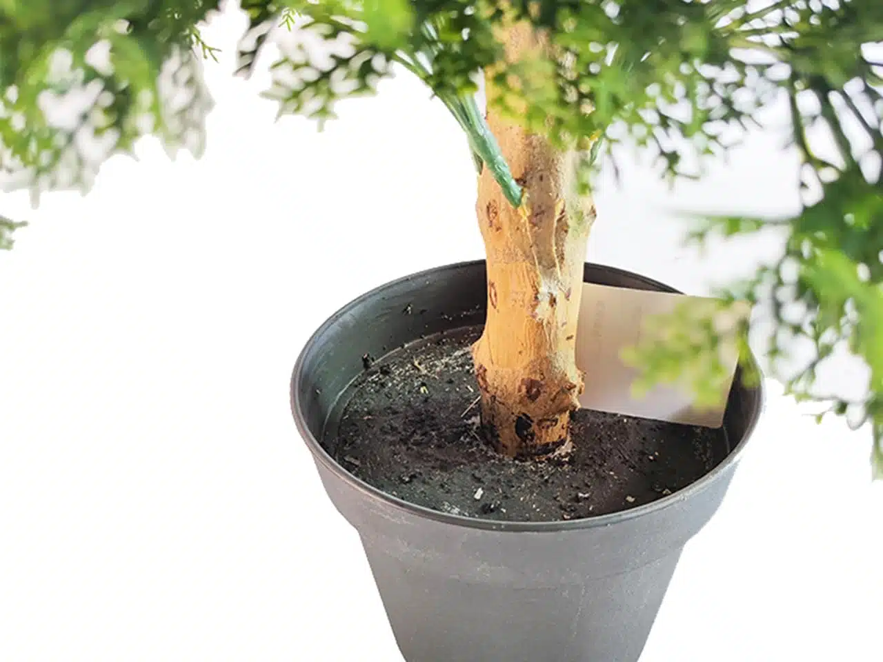 5ft Artificial Cypress Tree - Image 3