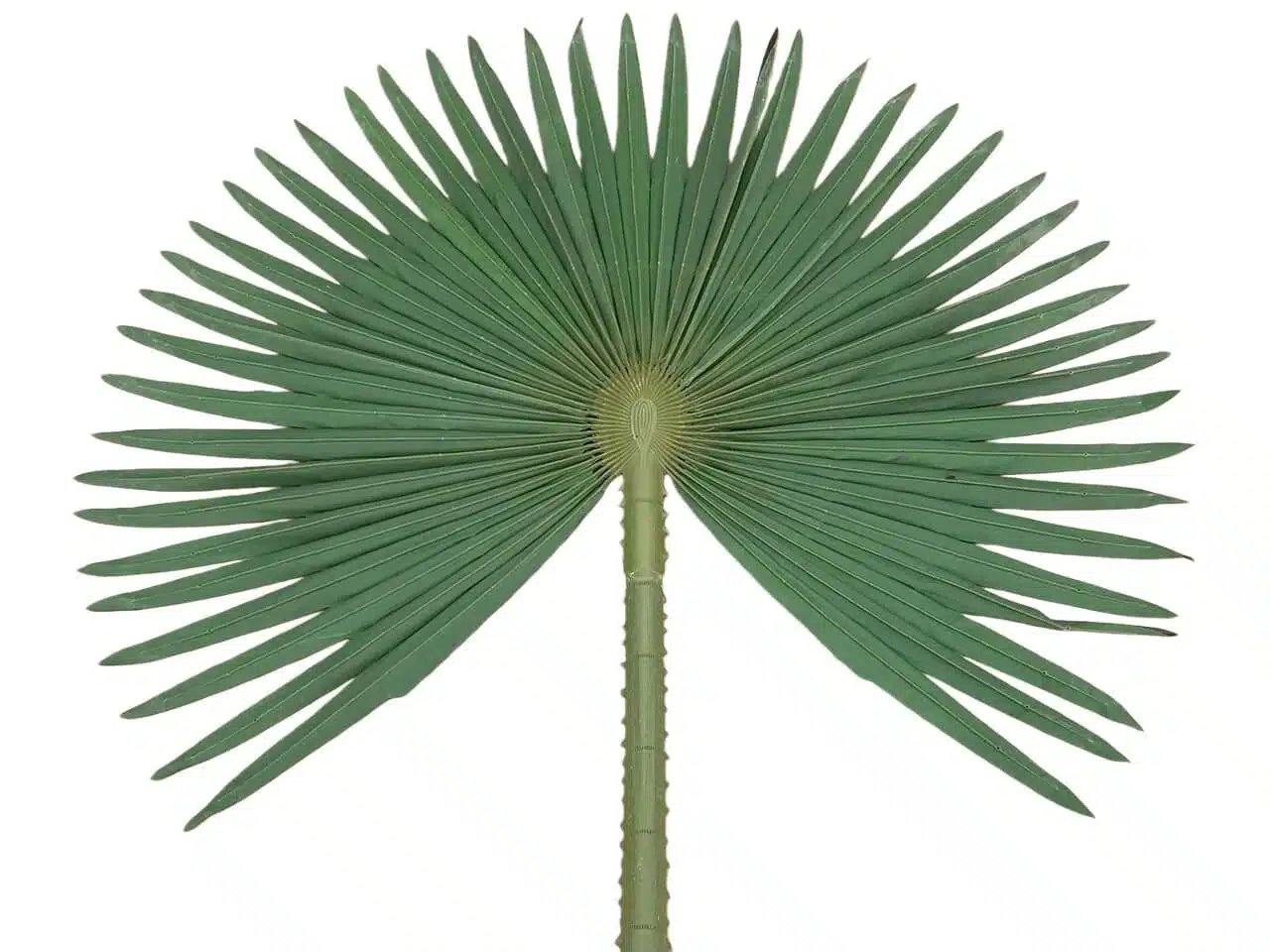 Extra Large Artificial Palm Tree - Image 2