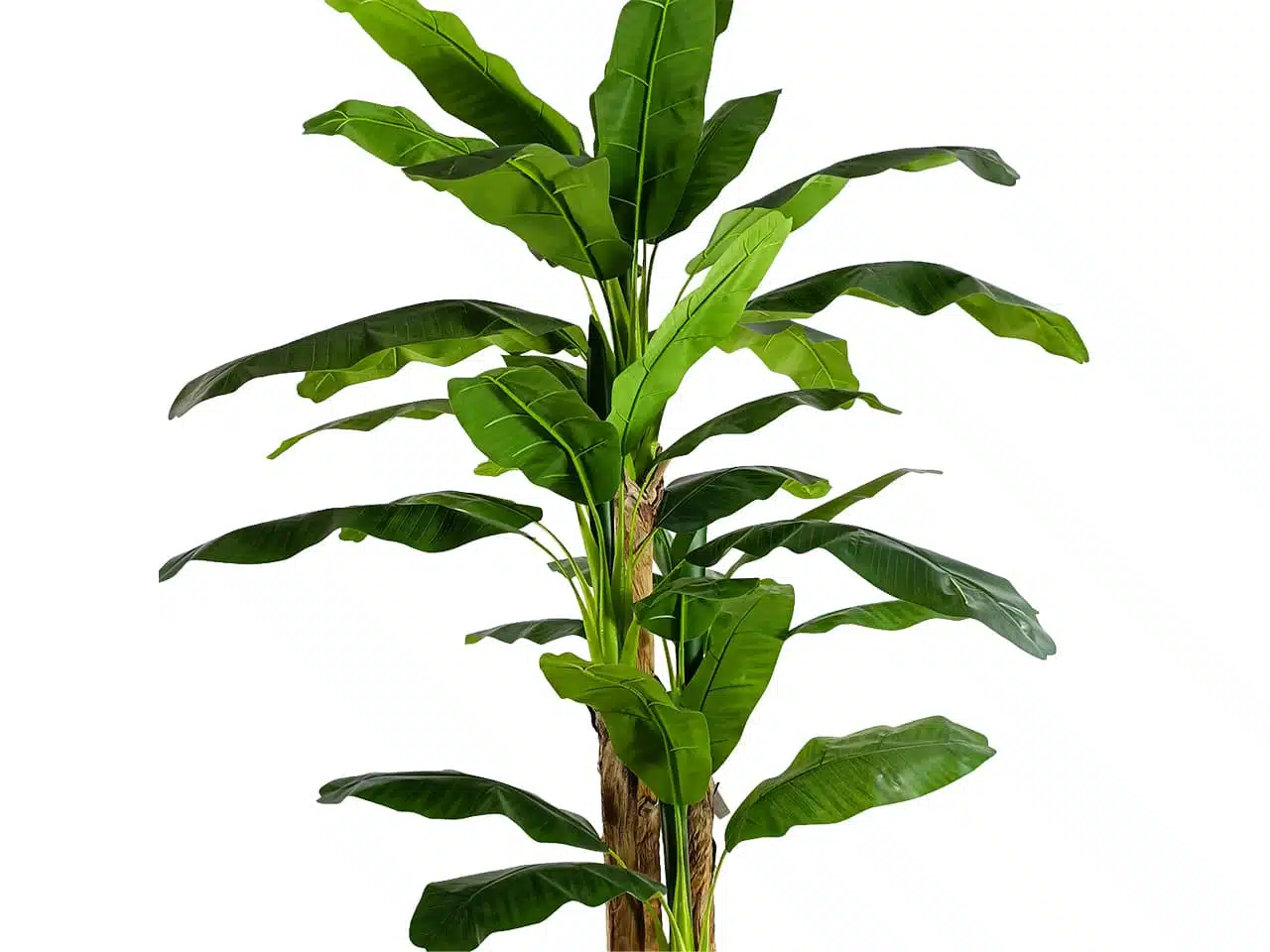 Artificial Banana Tree For Decoration - Image 4