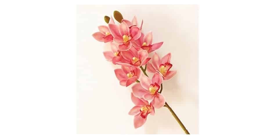 3D-Printed Faux Phalaenopsis Orchids