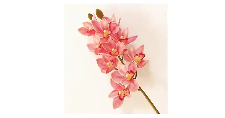 3D-Printed Faux Phalaenopsis Orchids