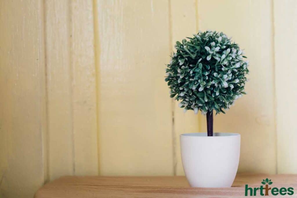 Decorating room With Fake Plants