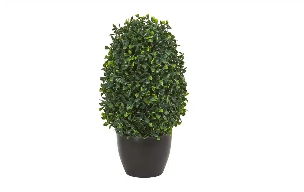 Artificial Boxwood Topiaries