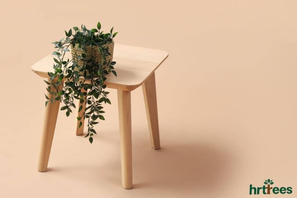 fake plant tabletop decor
